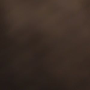 Meet your Posher, Jade